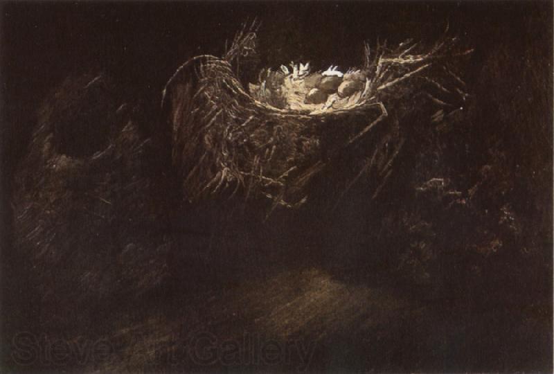 Vincent Van Gogh Still life with Three Birds'Nests (nn04)